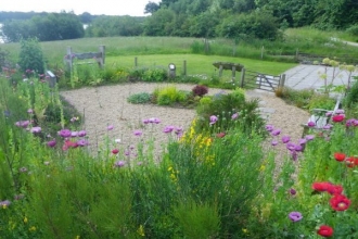 Wildlife Gardening