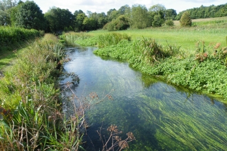 River Itchen at Winnall Moors Nature Reserve © HIWWT