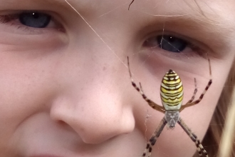 Blashford Wild Days Out girl with wasp spider