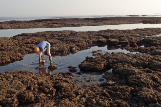 Harry doing a shore survey at Hanover Point © Claire Saxby