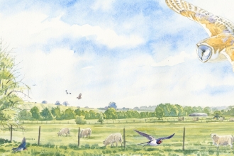 Hockley Farm, artists impression by Dan Powell