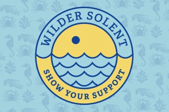 Wilder Solent website news preview