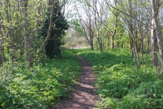 Woodland path, Eastern Parade, Fareham