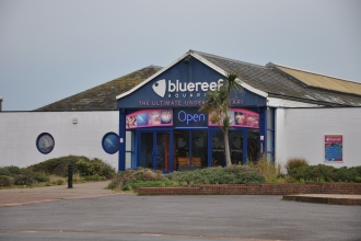 Blue Reef Aquarium Portsmouth