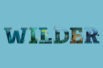 wilder text over plain background