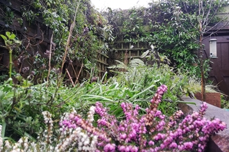 Heather in Adam's Garden