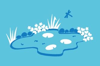build-a-pond-2