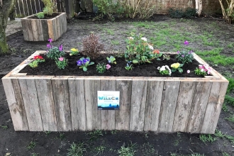 Raised Beds in Frances Annie Place