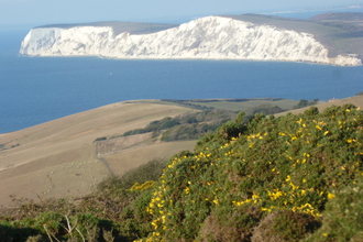 Freshwater Cliffs, Isle of Wight,