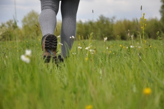 Walking in wildlife - Emma Bradshaw