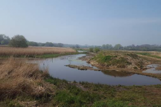 The newly excavated scrape and bund.