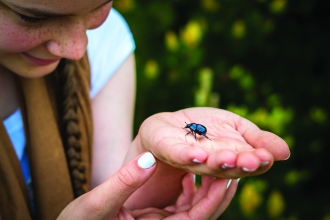 Girl with beetle