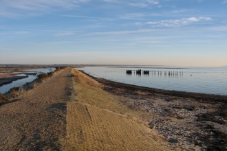 Pennington sea wall