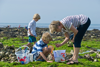 Crabbing and rockpooling © Matthew Roberts