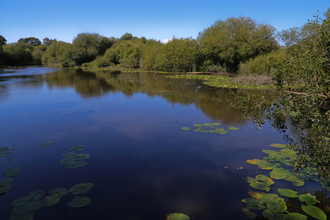 Newchurch Moors nature reserve Hampshire & Isle of Wight Wildlife Trust  © Ian Pratt.