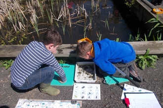 Springhill pond dipping
