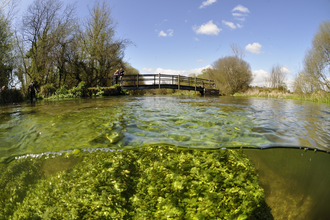 River Itchen © Linda Pitkin/2020VISION