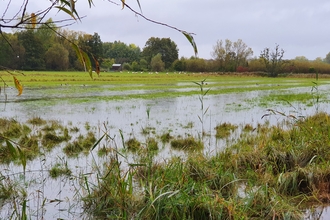 Winnall Moors hay meadows after the October storms, slowing the flow of water towards Winchester