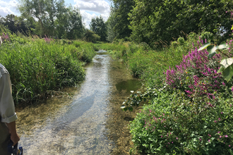 Pillhill Brook at Little Ann © Wild Trout Trust