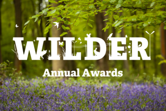 Wilder Annual Awards