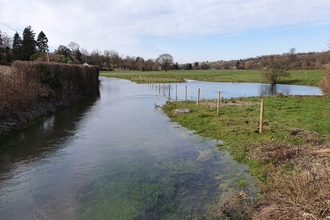 Fencing on the Bourne Rivulet at Stoke © Wessex Rivers Trust