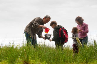 bug hunt © Paul Harris - 2020 VISION 