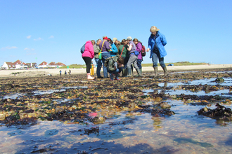 Intertidal survey at Lee-on-the-Solent by Caroline Meech