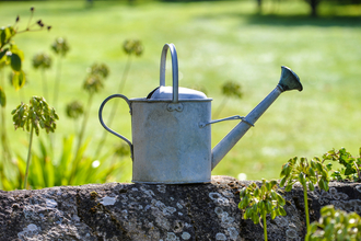 Watering can © Calinat via Getty Images