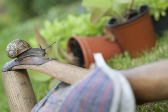 Wildlife gardening © Tom Marshall