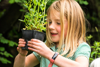 Cheriton Primary School planting wildflowers by the Cheriton Stream © Simon Newman