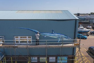 Drone shot of thresher shark mural by ATM © Bret Charman