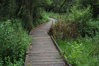 Blashford Boardwalk