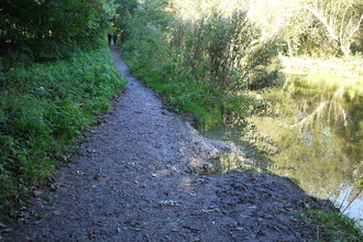 Footpath erosion on the River Arle in Alresford © Aquascience Ltd