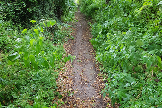 Stretch of Dark Lane in Cheriton © HIWWT