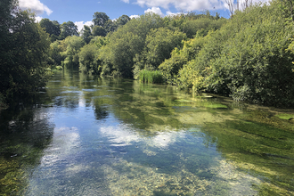 River Arle between Alresford and Ovington © Melanie Hill