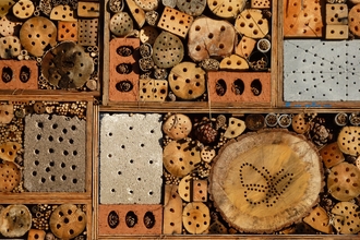 bug hotel