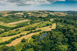 Newchurch Moors, Isle of Wight Wetlands