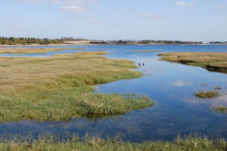 Farlington Marshes