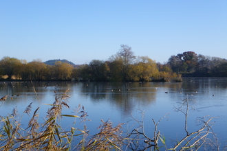 Blashford Lakes Nature Reserve