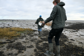 carrying seed sacks to planting site