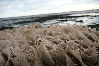 Seagrass sacks close up at langstone harbour 