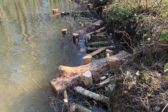 Log berm for the Romsey Barge Canal restoration