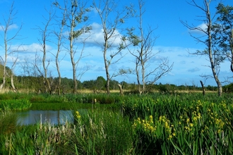 Fishlake Meadows