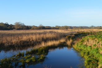 Morton Marsh Nature Reserve 