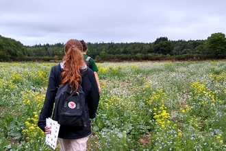 Trainee Ecologists walking through wildflowers