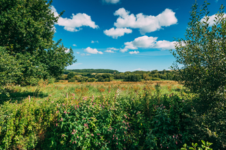 Newchurch Moors 