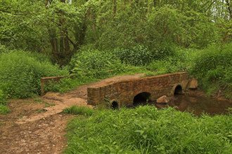 Flexford Nature Reserve Bridge Footpath