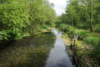 River at Greywell Moors