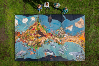 The murals, which consist of six underwater scenes painted and inked onto 8 ft. by 8 ft. boards of marine plywood, took the artist around 65 days to complete. When pieced together, the individual works form a giant 24 ft. long and 16 ft. high map of the Solent, showcasing a variety of captivating species including thresher sharks, undulate rays and mantis shrimp. The Trust commissioned the series as part of their National Lottery supported project, Secrets of the Solent, which works to celebrate and raise