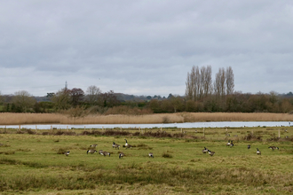 Titchfield Haven - view from Knights Bank Hide